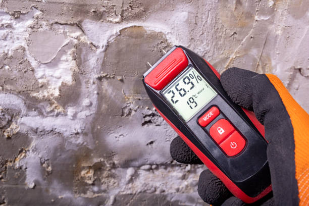 Best Crawl Space Mold Removal  in University Park, MD